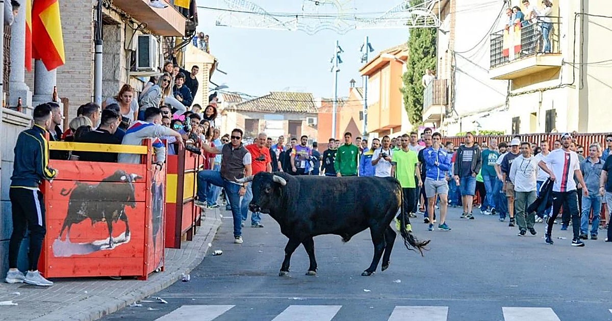 Cogido por asta de toro un hombre en los encierros de Olías del Rey