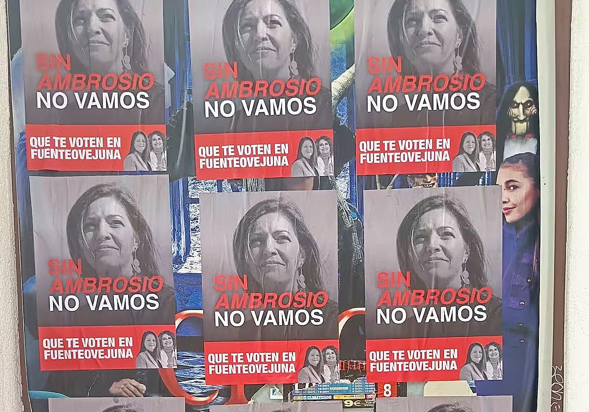 La Audiencia de Córdoba mantiene abierta la causa por los carteles contra Isabel Ambrosio y revoca el archivo definitivo