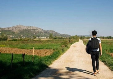 Castilla-La Mancha dará ayudas de hasta 12.000 euros para estudiantes de FP y universitarios de zonas despobladas