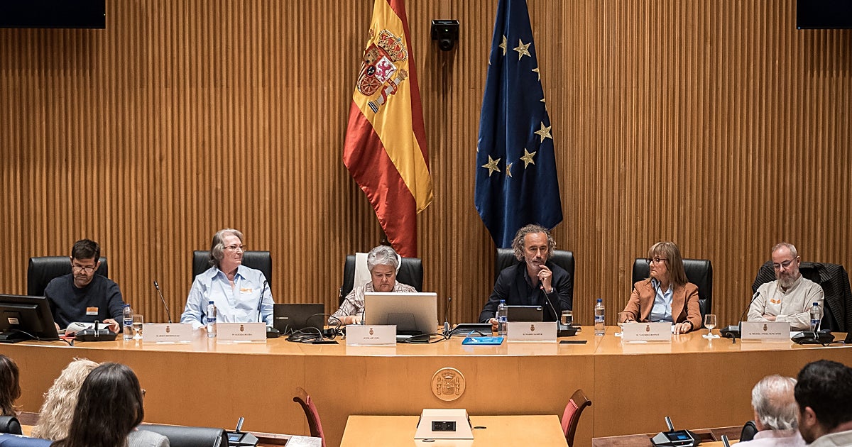 Una investigadora del accidente de Adamuz denuncia cambios en los informes técnicos por sus superiores