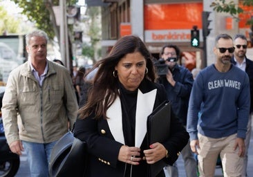 Mafiosos, grupos de Facebook, exjueces… la red diseñada para presionar a la instructora del caso de David Sánchez
