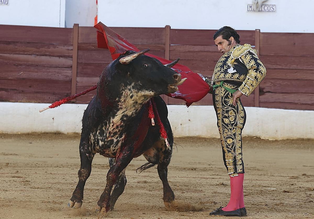 Cornada Roca Rey A qué hora son los toros con Morante de la Puebla, Roca Rey y Tomás ...