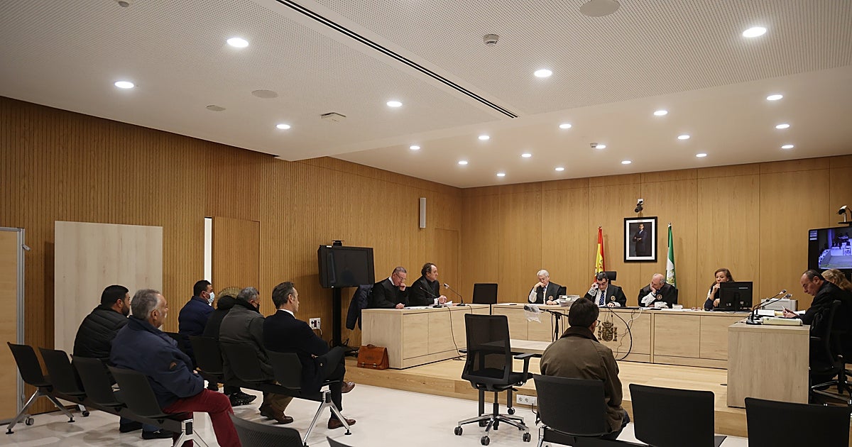 El Gobierno crea la mitad de los jueces que demanda Andalucía a solo mes y medio de las elecciones generales