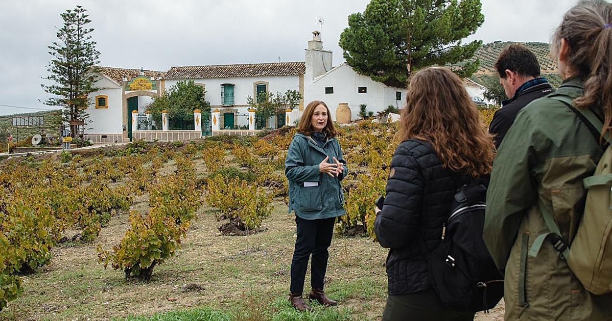 La Ruta del Vino Montilla-Moriles, premiada como Mejor Destino Enoturístico Sostenible y Responsable
