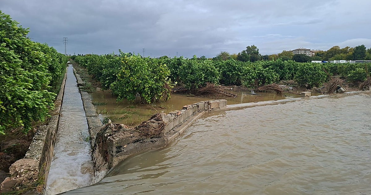 Los agricultores cifran en 21 millones las pérdidas por la dana Adam tras afectar a 9.000 hectáreas