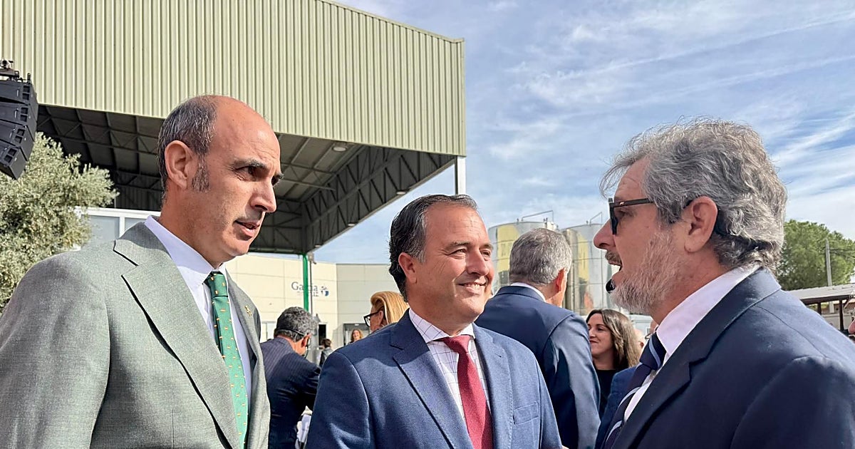 Vox lamenta la «indefensión» del sector del aceite de la región ante la competencia con terceros países