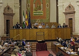 Una imagen del pleno del Parlamento