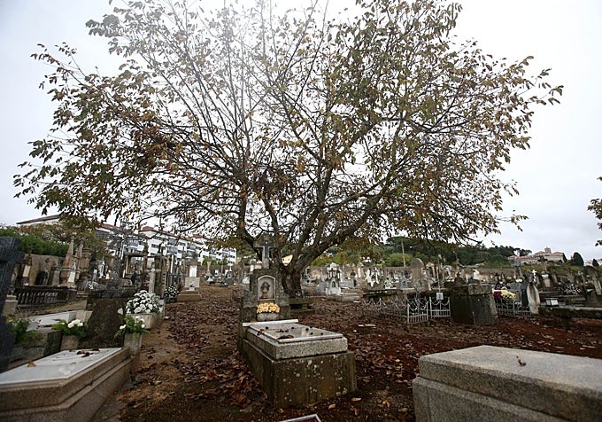 Cementerio de San Francisco, en Orense.