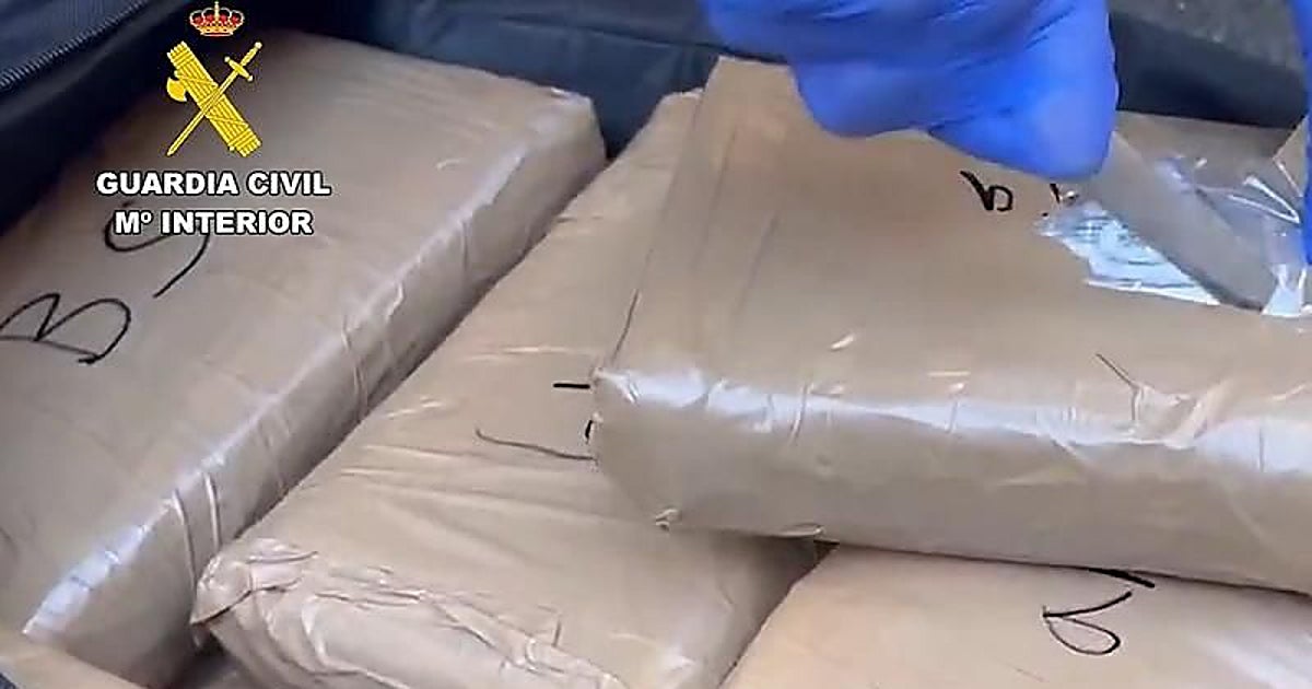 Un miembro de las Fuerzas de Seguridad, entre los ocho encarcelados tras una operación antidroga en La Coruña