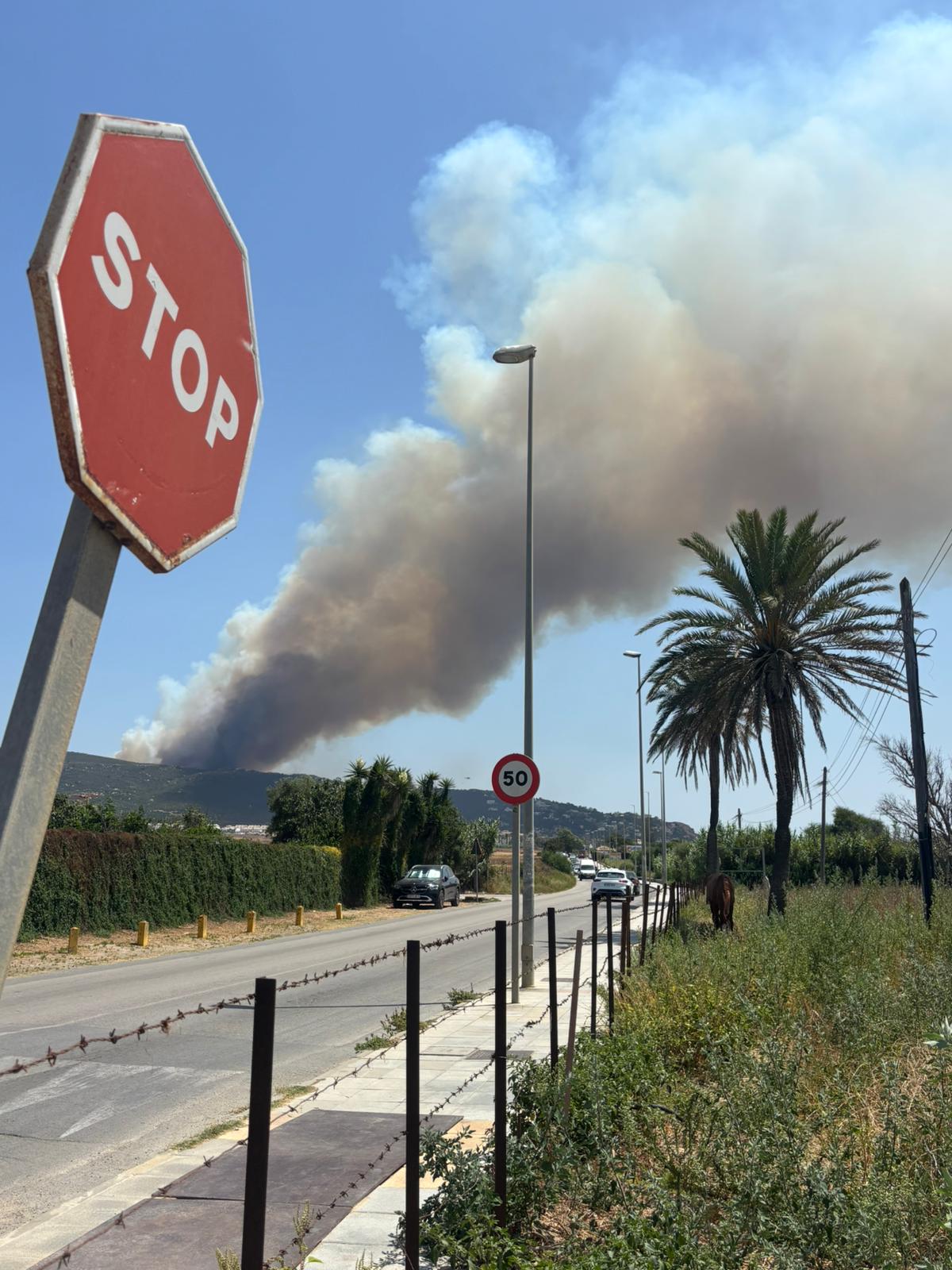 Un nuevo incendio forestal pone en jaque a Tarifa