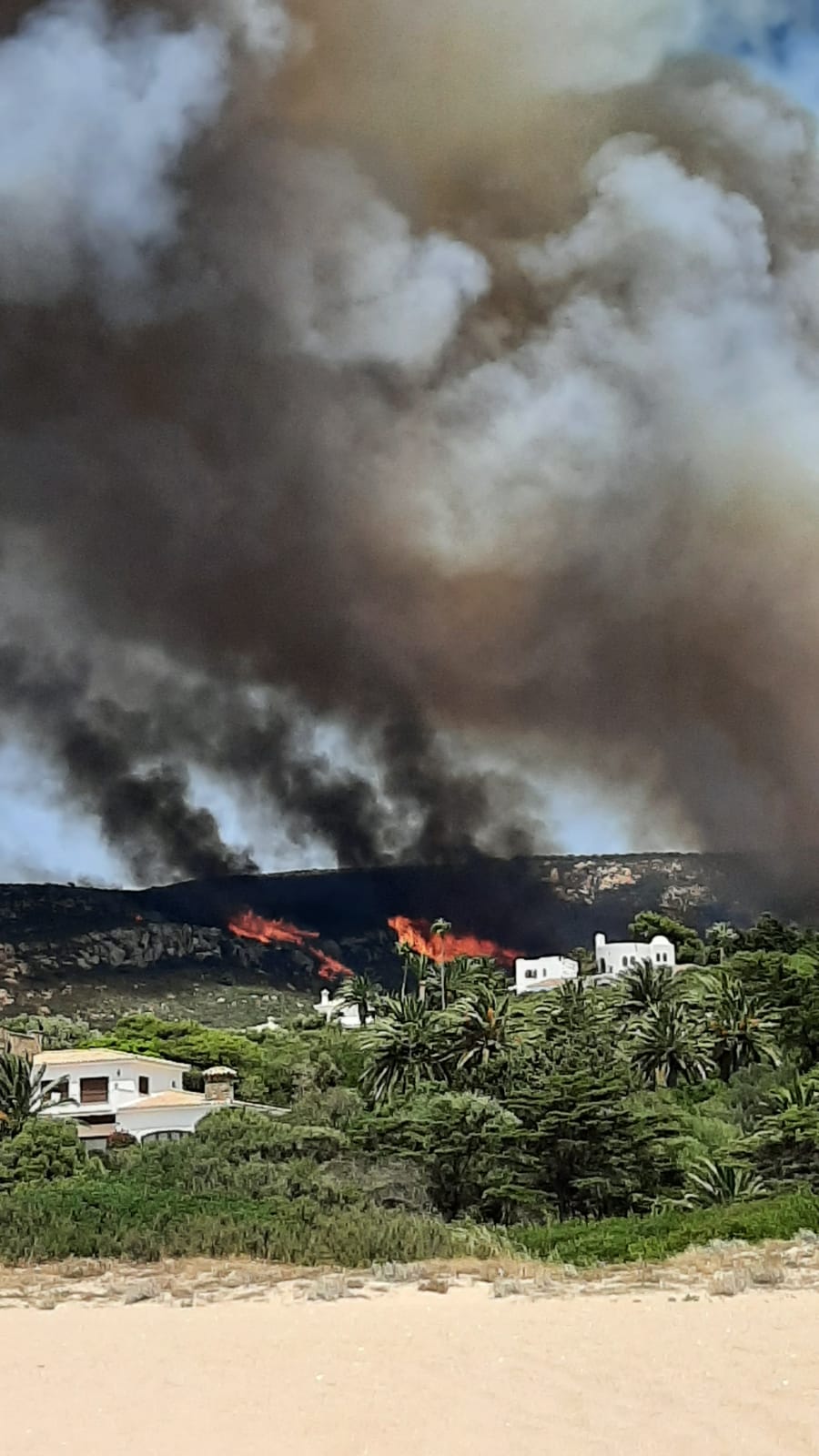 Un nuevo incendio forestal pone en jaque a Tarifa