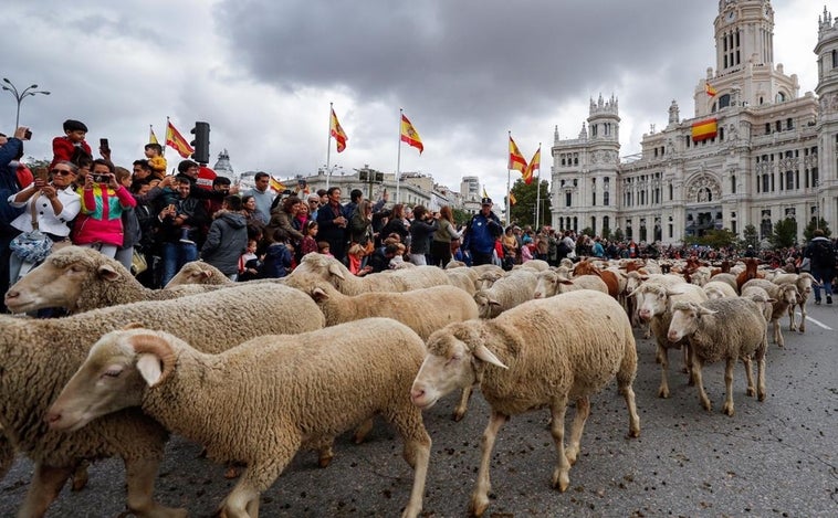 Diez planes originales para este fin de semana en Madrid