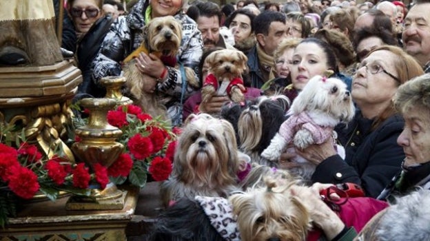 San Antón, patrono de las mascotas