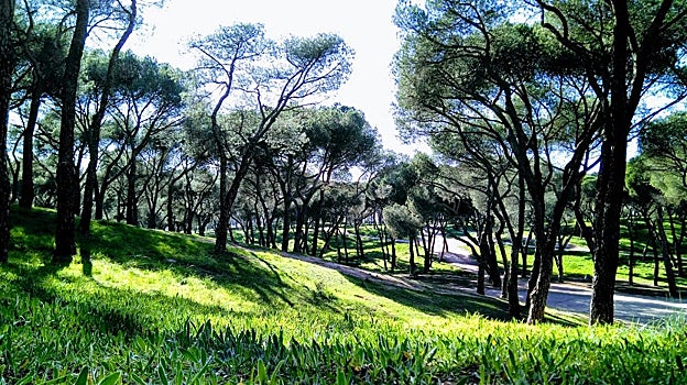 Parque Dehesa de la Villa