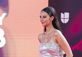 Alfombra roja de los Grammy Latinos 2023: los mejores looks y vestidos de los famosos