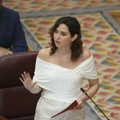 Isabel Díaz Ayuso lleva a la Asamblea la tendencia más viral: los hombros desnudos