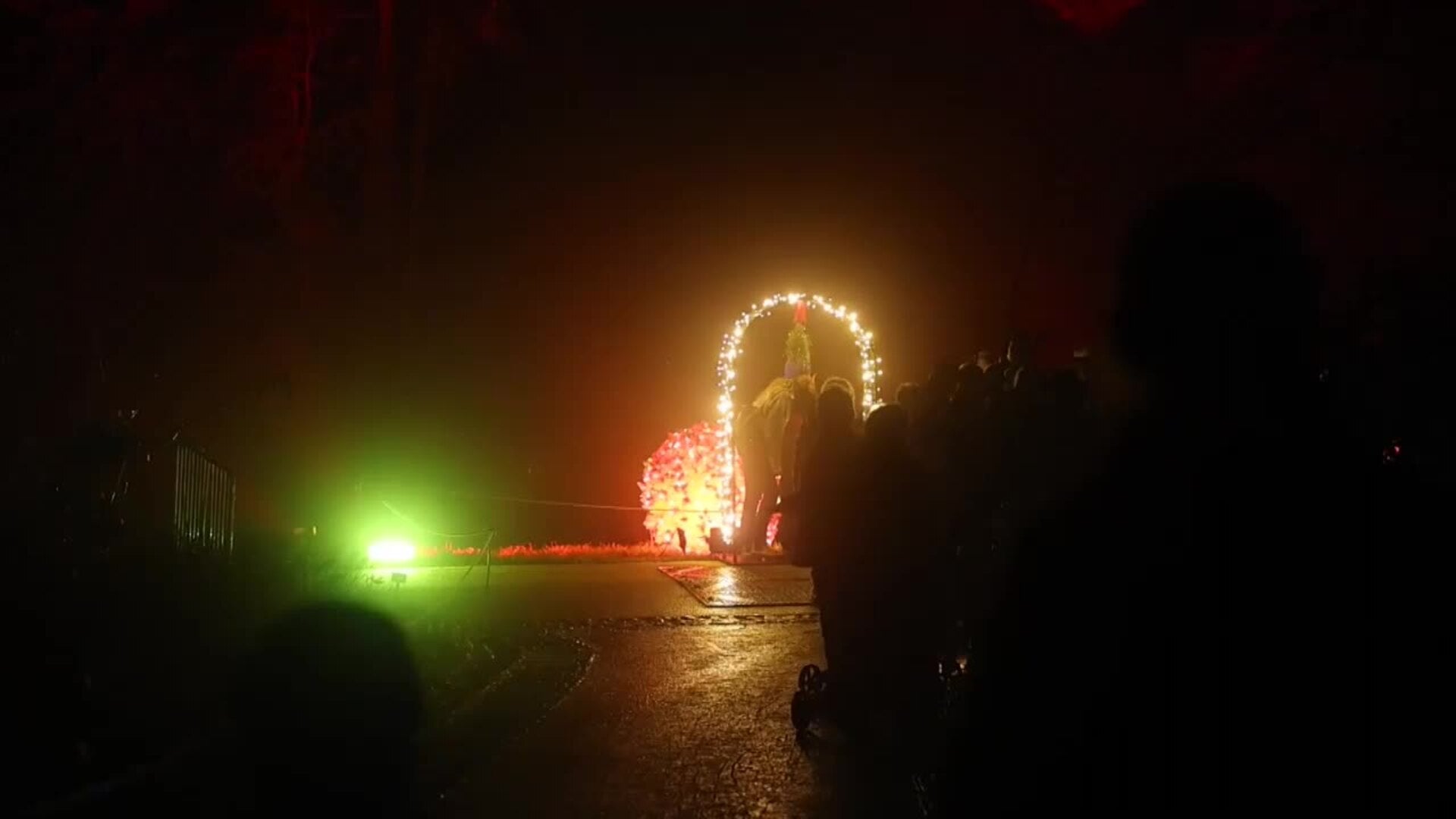 El Jardín Botánico de Berlín se transforma en un recorrido nocturno de luces y sonidos por Navidad