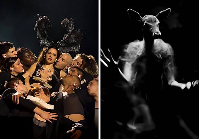 Rosalía durante la actuación de 'Berghain' en Madrid; ciervo en el videoclip de la canción.