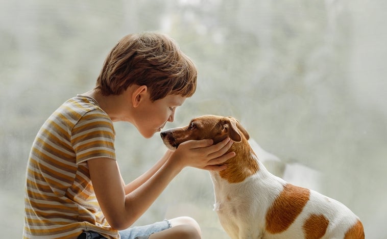 El 92% de los españoles considera que su mascota es un miembro más de la familia