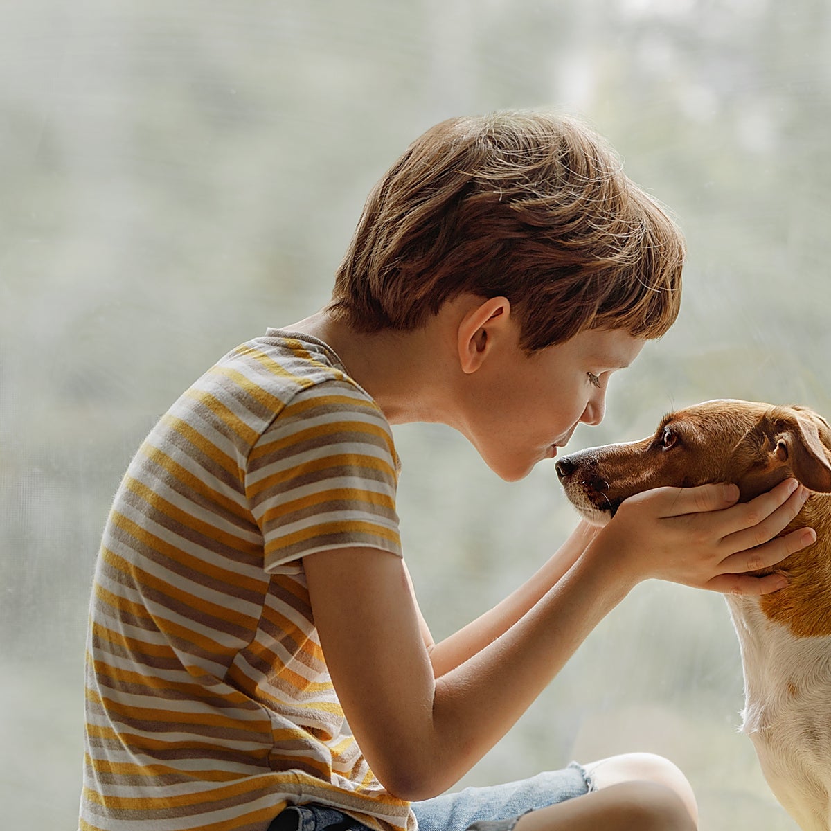 El 92% de los españoles considera que su mascota es un miembro más de la familia