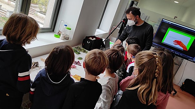 Tras la proyección, los pequeños deciden con su voto los premios del público del festival