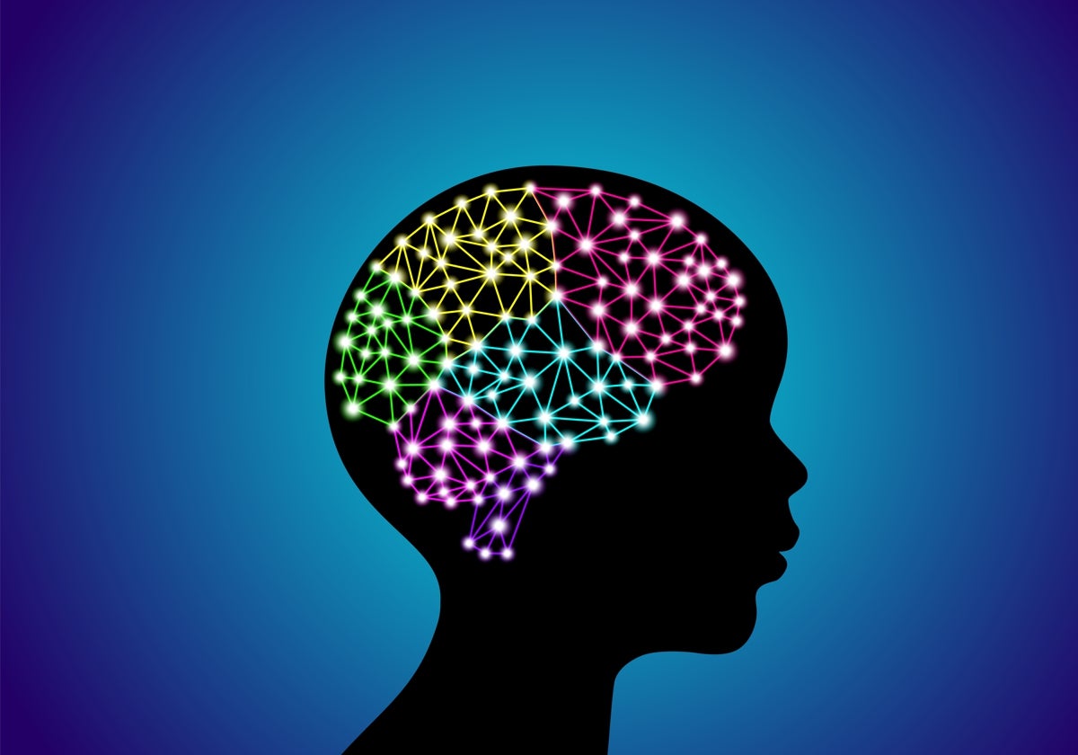 Un entorno imprevisible en el hogar interrumpe el desarrollo óptimo de los circuitos cerebrales emocionales de los niños