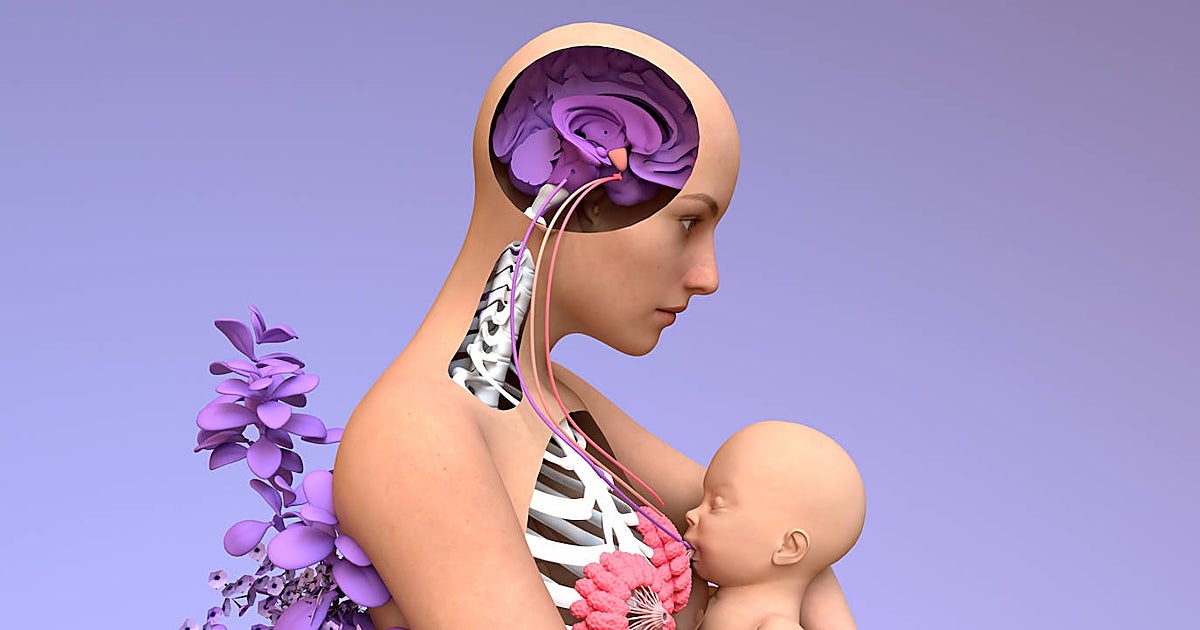 Así cambia tu cerebro cuando te conviertes en madre: ya nada volverá a ser  igual