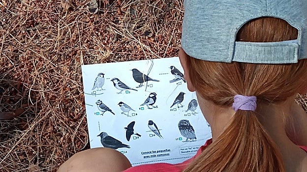 Los participantes, de entre 6 y 13 años, podrán ser testigos del día a día de un centro de recuperación de fauna salvaje