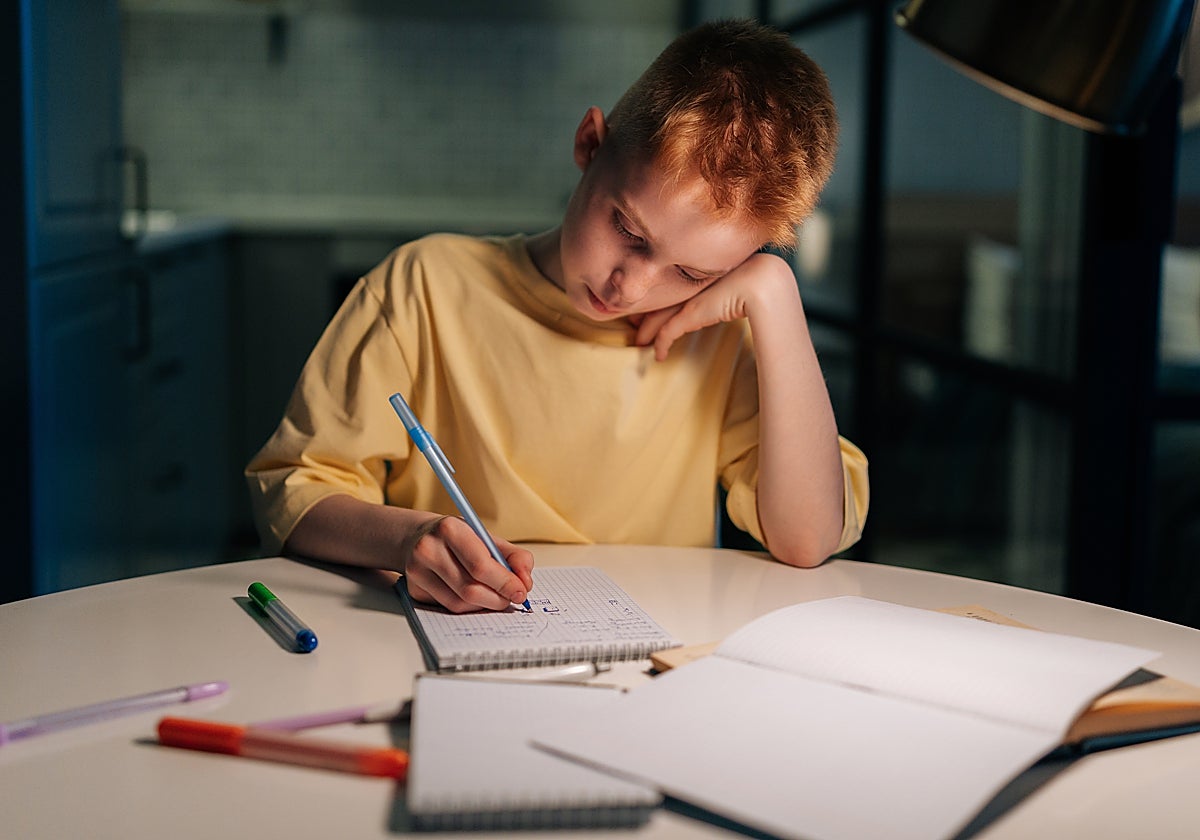 Establecer horarios de estudio realistas, tener una mesa ordenada... algunos de los consejos para estas fechas