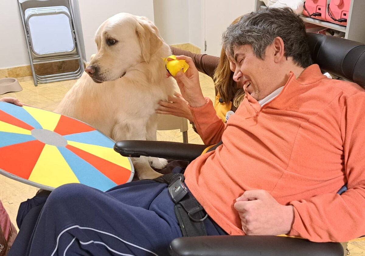 Los perros de terapia «sorprenden a los pacientes además de proporcionarles bienestar, tranquilidad, cariño y seguridad»