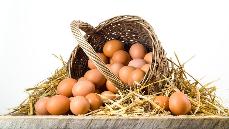 Este es el número de huevos que puede comer tu hijo según su edad hasta la adolescencia