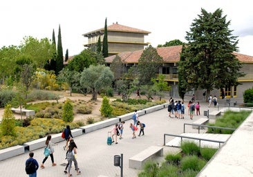 Colegio «Estudio», una propuesta educativa de calidad que sitúa el foco en el desarrollo y aprendizaje significativo de los alumnos