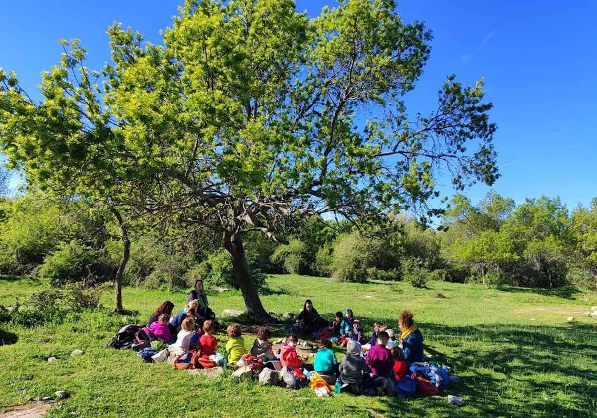 imágenes de verano naturaleza