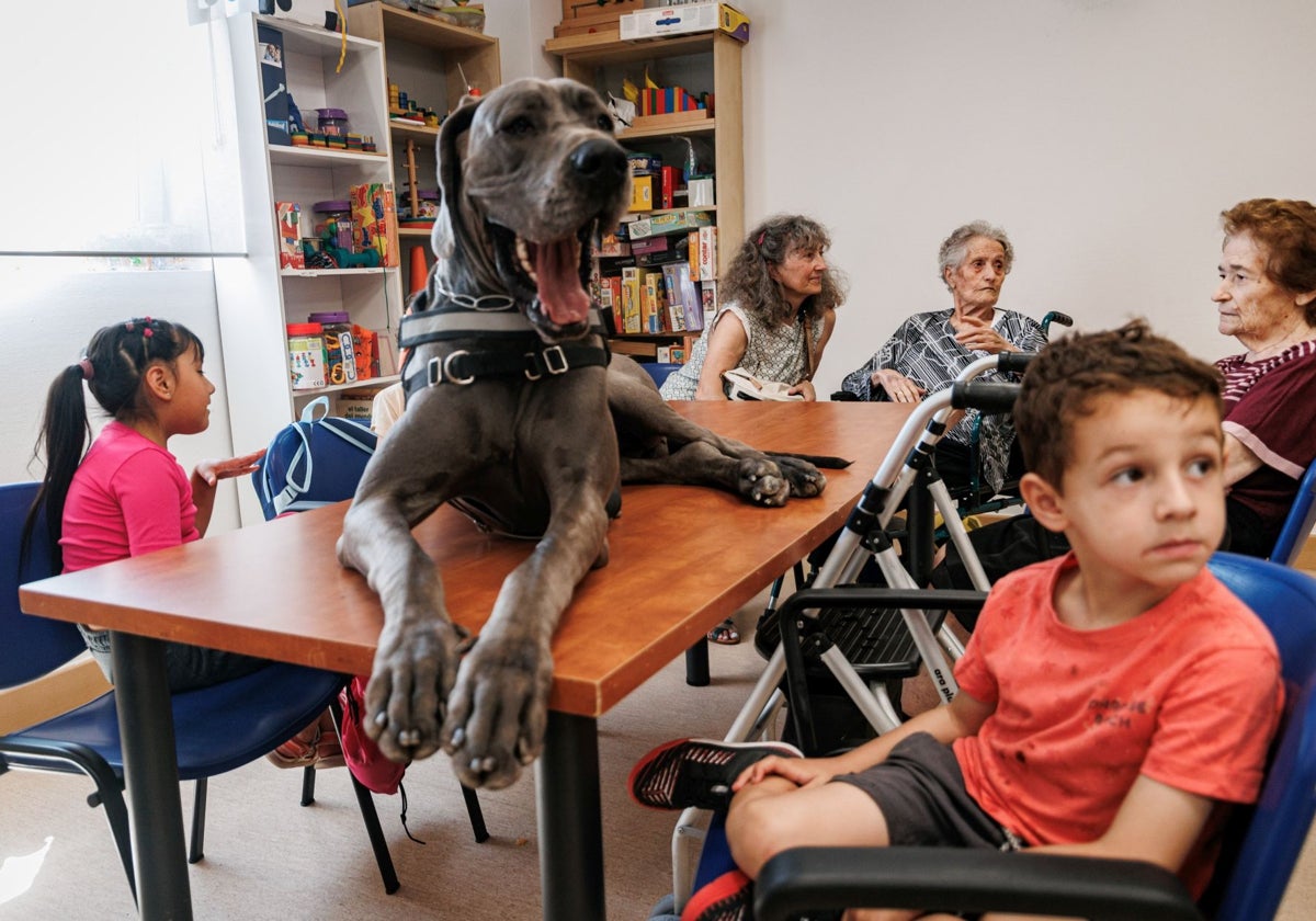 Matilda, el dogo alemán de Maeveniall, rodeada por los asistentes al campamento de Amavir Ciudad Lineal