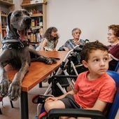 'De campamento con mis abuelos', la fórmula que beneficia a niños y mayores