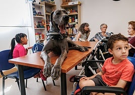 'De campamento con mis abuelos', la fórmula que beneficia a niños y mayores