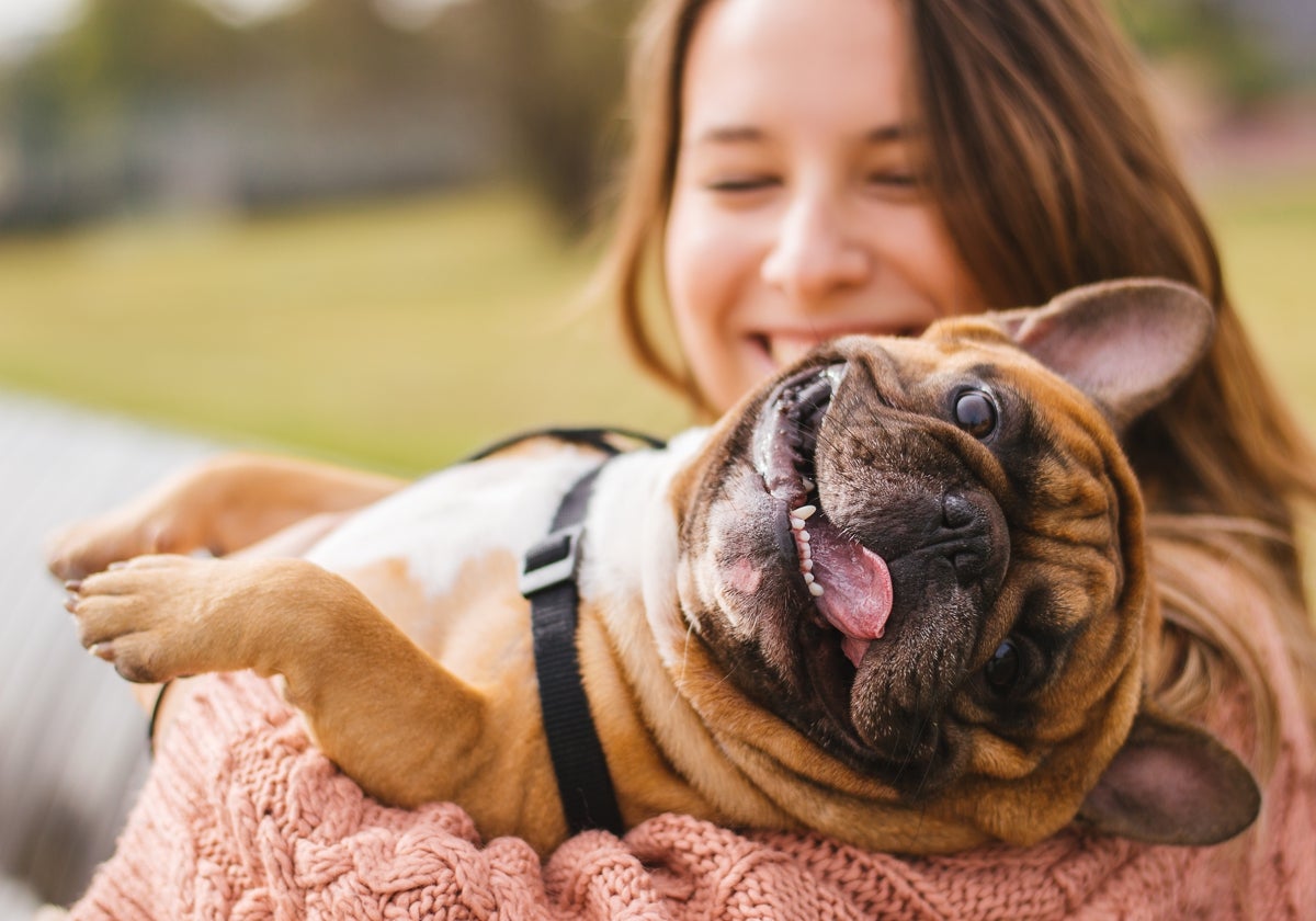 El número de perros en España es superior al de niños y niñas menores de 14 años