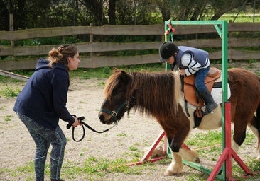 Perros y ponis que transforman la infancia