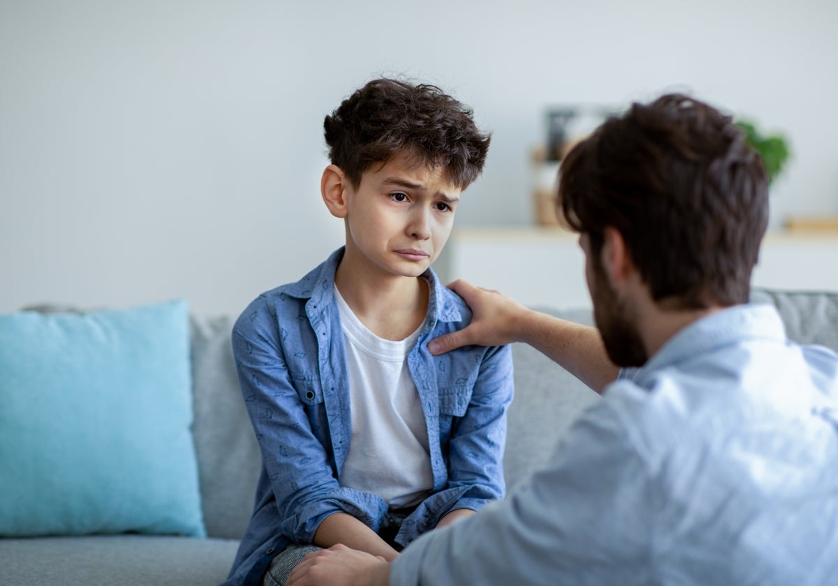 Hay que tener cuidado, según Álava Sordo, para no diagnosticar depresión infantil cuando no la tienen