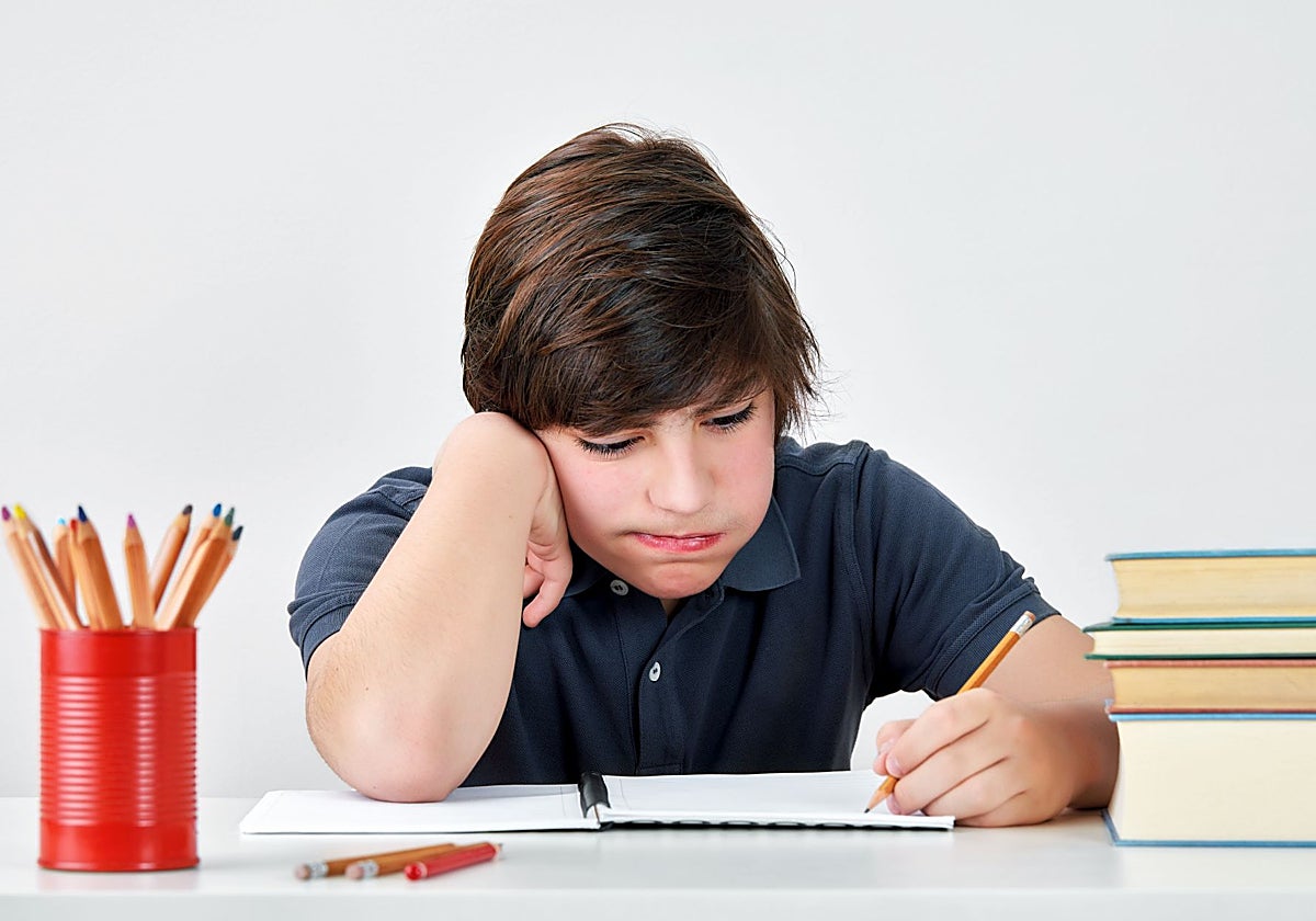 «Es muy listo, pero no se esfuerza, y eso afecta a su rendimiento escolar»