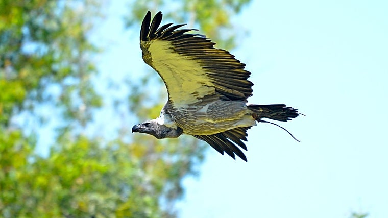Planes con hijos para lograr una vuelta al cole más llevadera