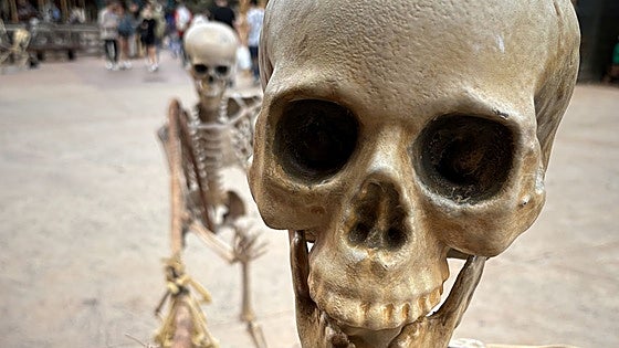 Halloween: los planes familiares se vuelven terroríficos hasta fin de mes