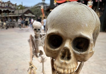 Halloween: los planes familiares se vuelven terroríficos hasta fin de mes