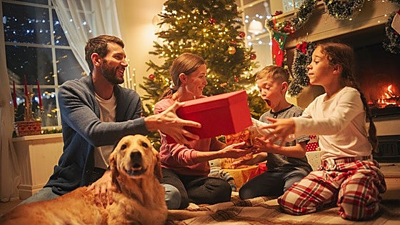 Juegos con valores, la creciente demanda de las familias esta Navidad