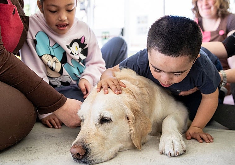 Los perros mejoran la autoestima, concentración y sociabilidad de niños con discapacidad