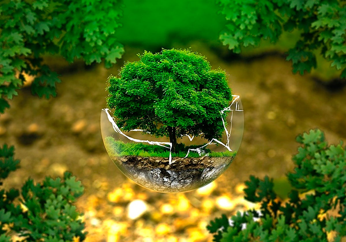 Muchas son las tiendas que apuestan por unas ofertas más sostenibles y responsables / Pixabay