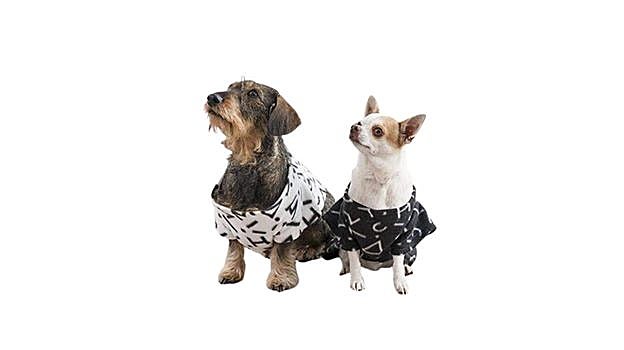 Batamanta para Perros Snug Snug Symbols One Doggy