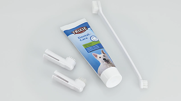 Productos de higiene dental para perros