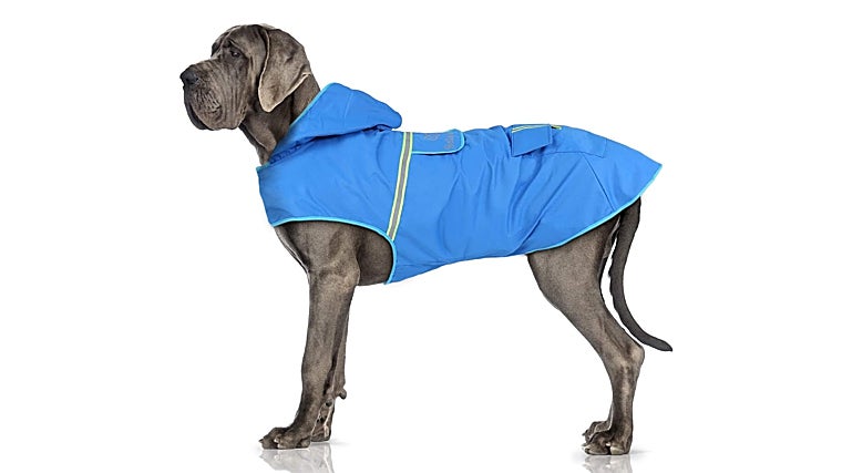 Los mejores chubasqueros para proteger a tu perro de la lluvia y el frío