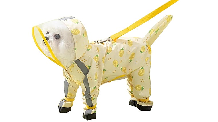 Los mejores chubasqueros para proteger a tu perro de la lluvia y el frío